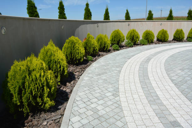 Best Interlocking Driveway Pavers  in Cinco Ranch, TX